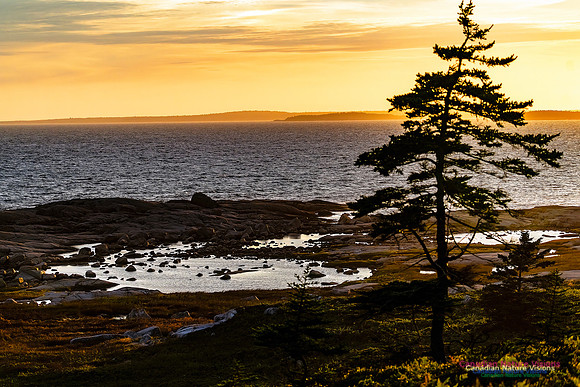 Sunset and Clouds 121