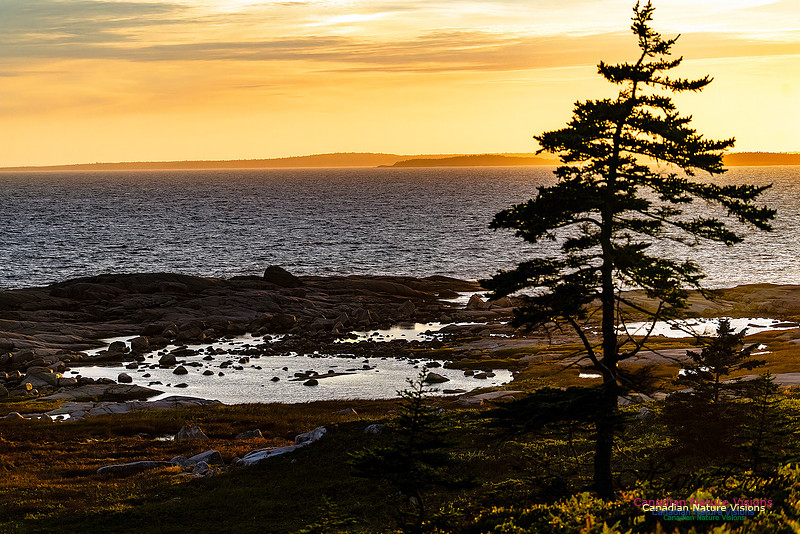 Sunset and Clouds 121