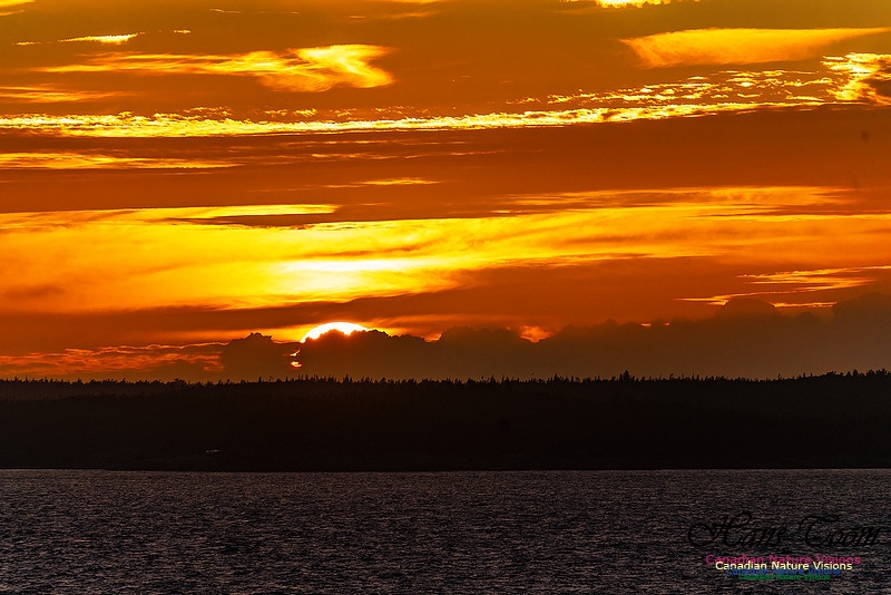 Sunset and Clouds 140