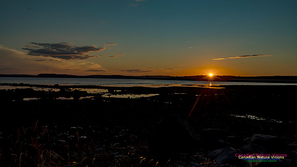 Chezzetcooke Sunset 102