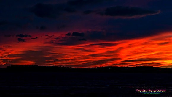 Chezzetcooke Sunset 105