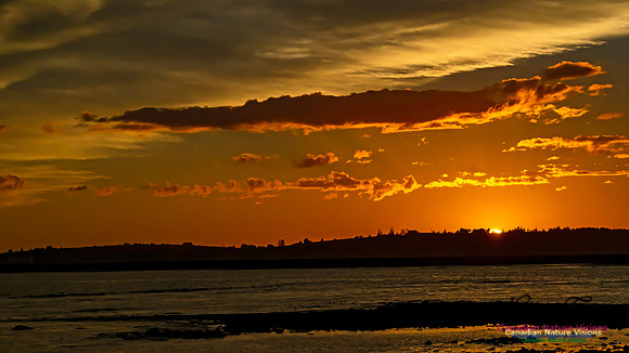 Chezzetcook Sunset 107