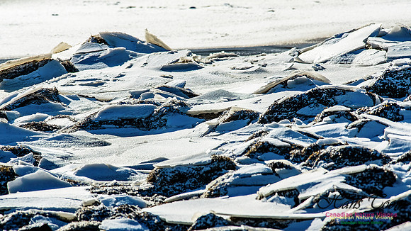 Nova Scotia Winter Scenes 104