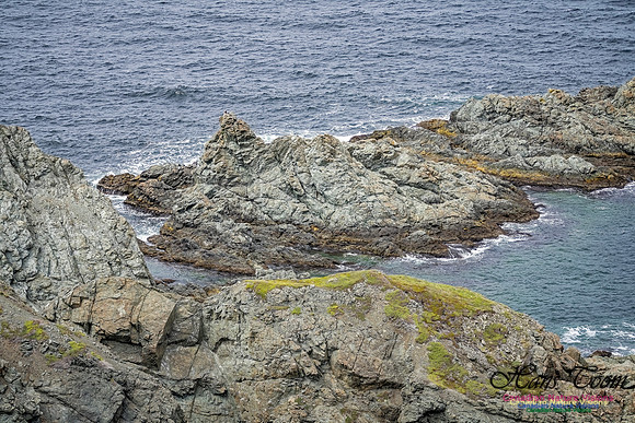 Twillingate 130 copy