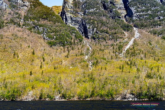 Western Brook Pond 196