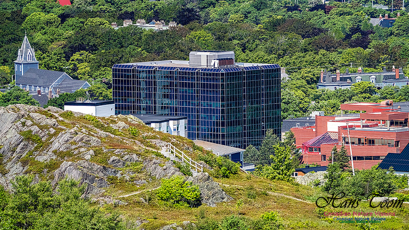 St. John's, Newfoundland 119