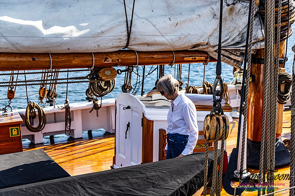 Bluenose 2 125