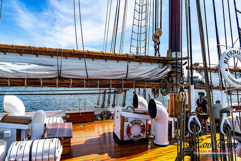 Bluenose 2 126