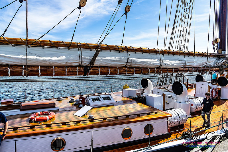 Bluenose 2 127