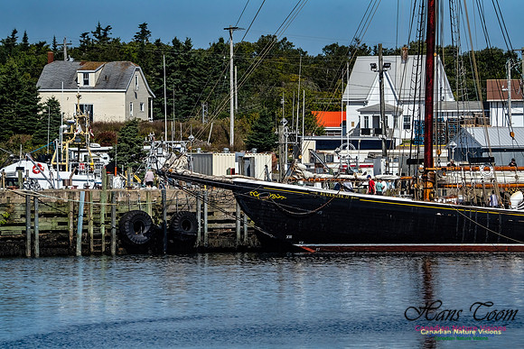 Bluenose 2 100
