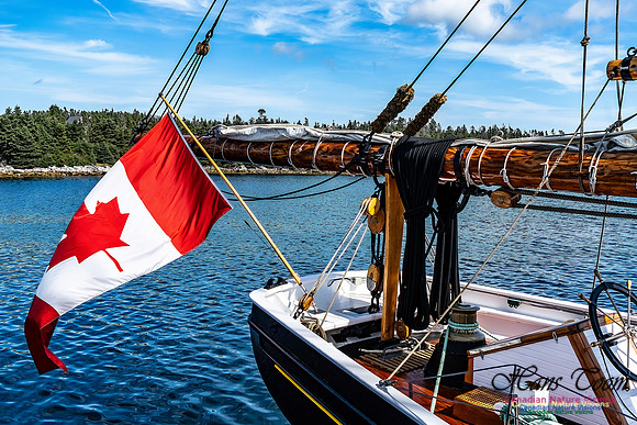 Bluenose 2 130