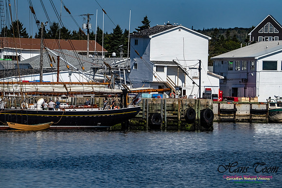 Bluenose 2 101
