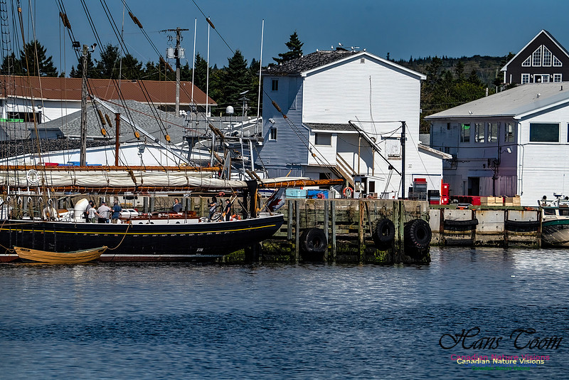 Bluenose 2 101