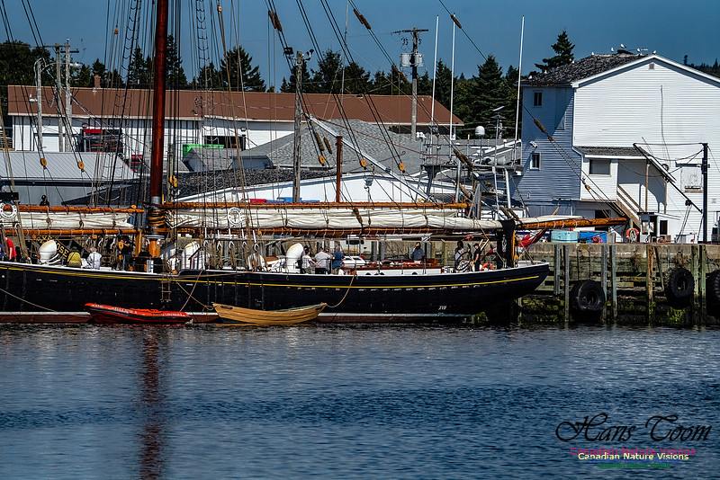 Bluenose 2 102