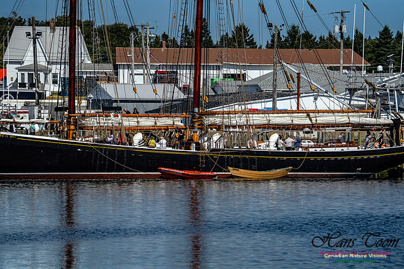 Bluenose 2 103