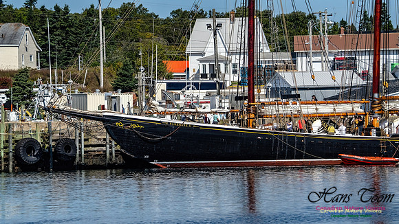 Bluenose 2 104