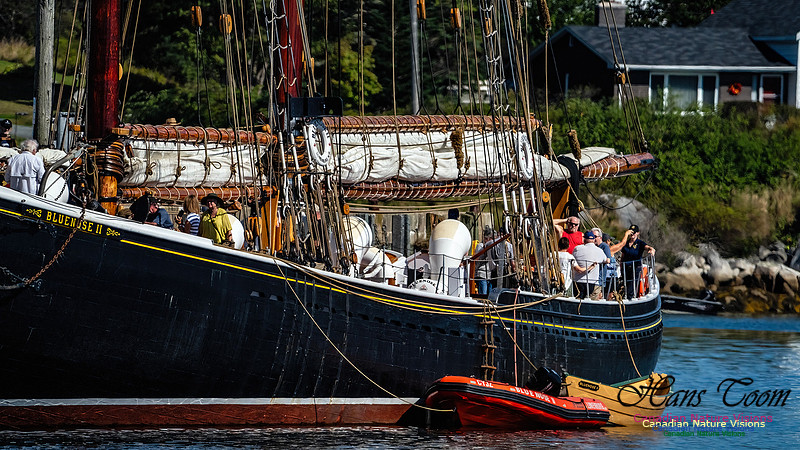 Bluenose 2 105
