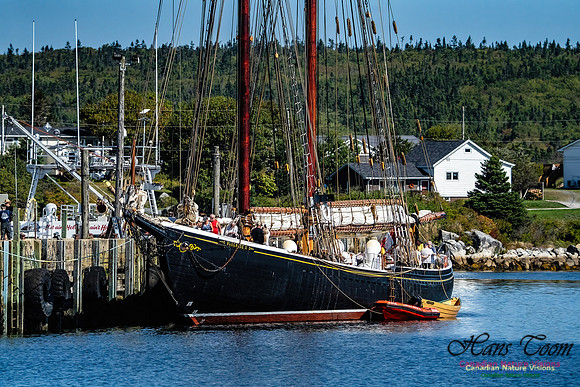 Bluenose 2 107