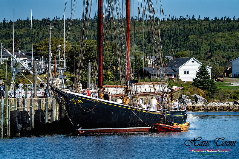 Bluenose 2 107
