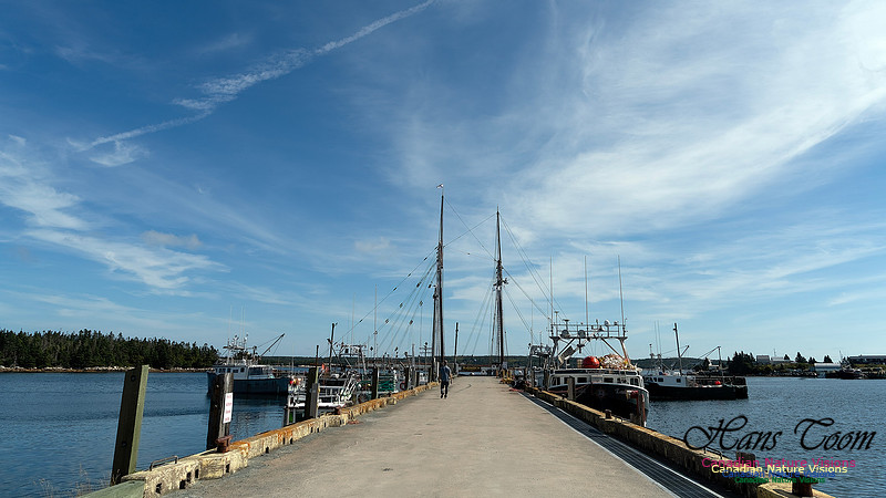 Bluenose 2 110