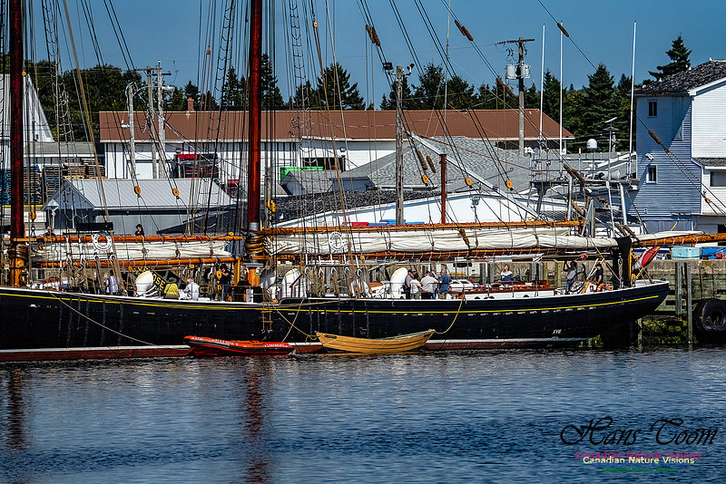 Bluenose 2 108