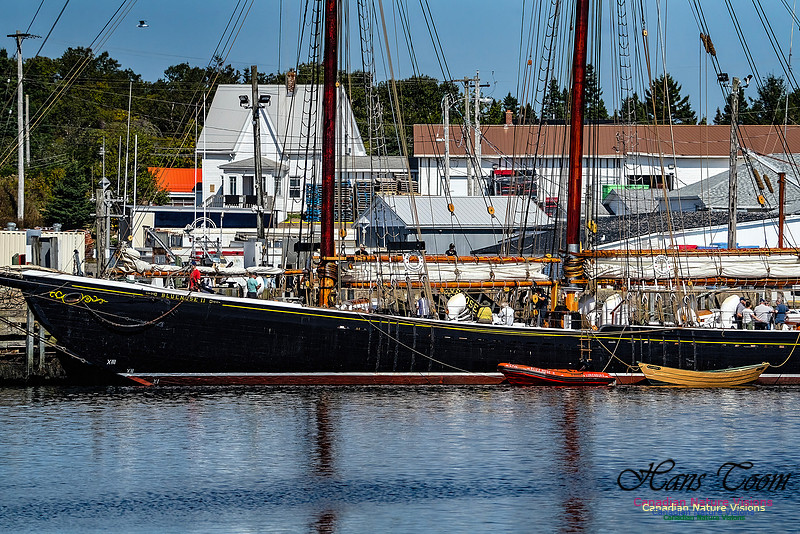 Bluenose 2 109