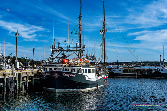 Bluenose 2 111