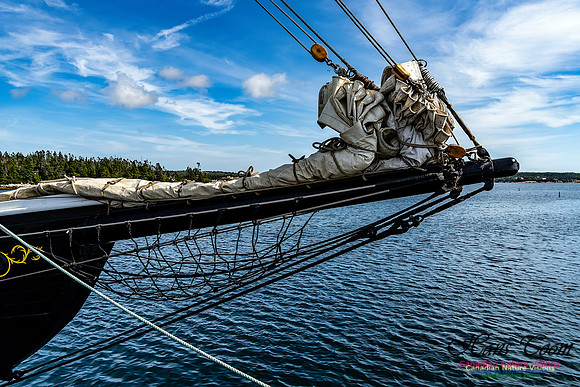 Bluenose 2 112