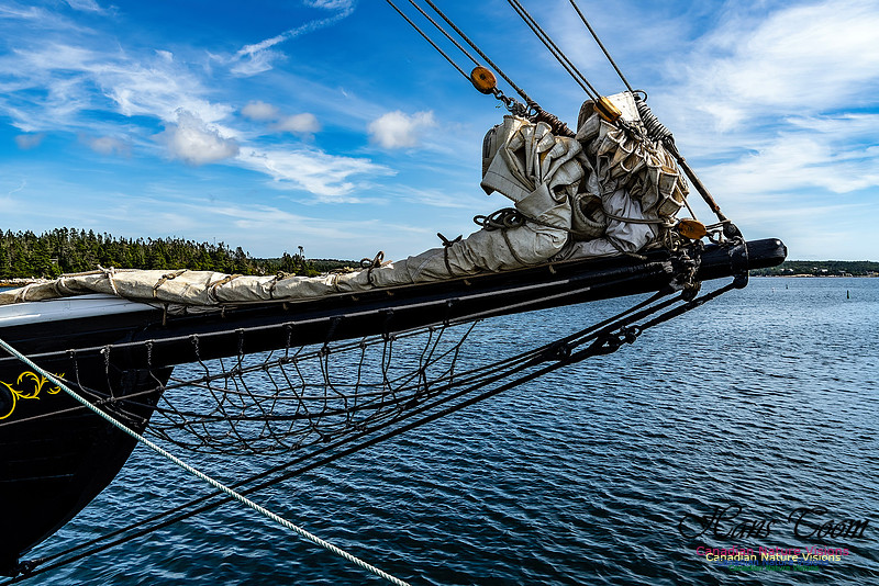 Bluenose 2 112