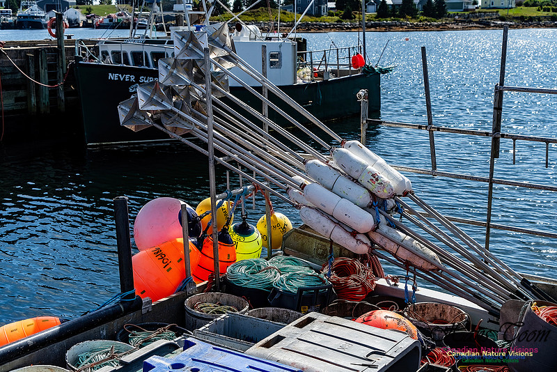 Bluenose 2 113