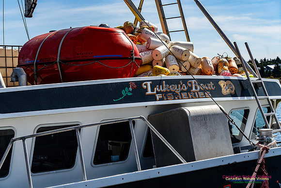Bluenose 2 116