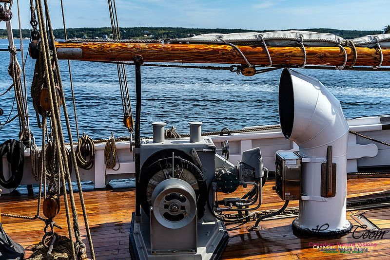 Bluenose 2 117