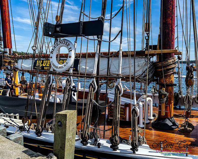 Bluenose 2 118