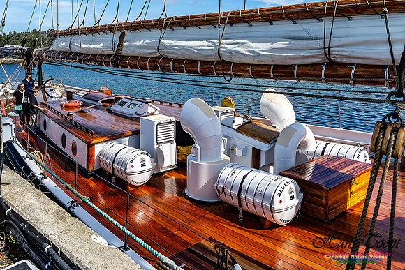 Bluenose 2 121