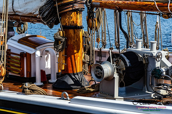 Bluenose 2 119