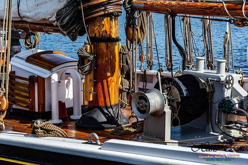 Bluenose 2 119