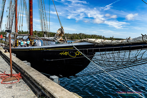 Bluenose 2 120