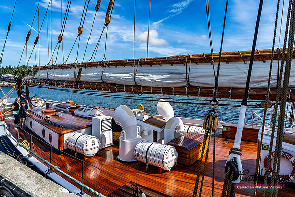 Bluenose 2 122