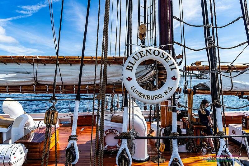 Bluenose 2 123
