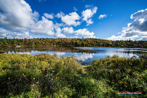 Sambro Loop 127