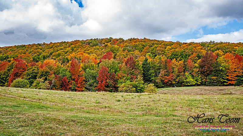 Fall in Nova Scotia 136