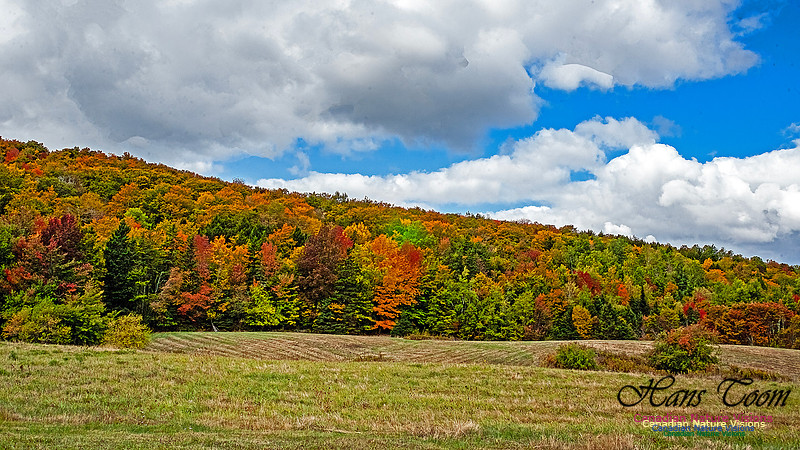 Fall in Nova Scotia 135