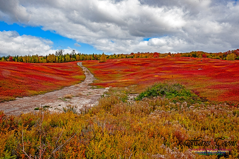 Fall in Nova Scotia 133
