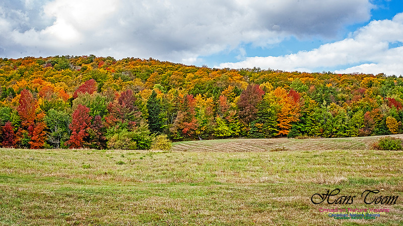 Fall in Nova Scotia 137