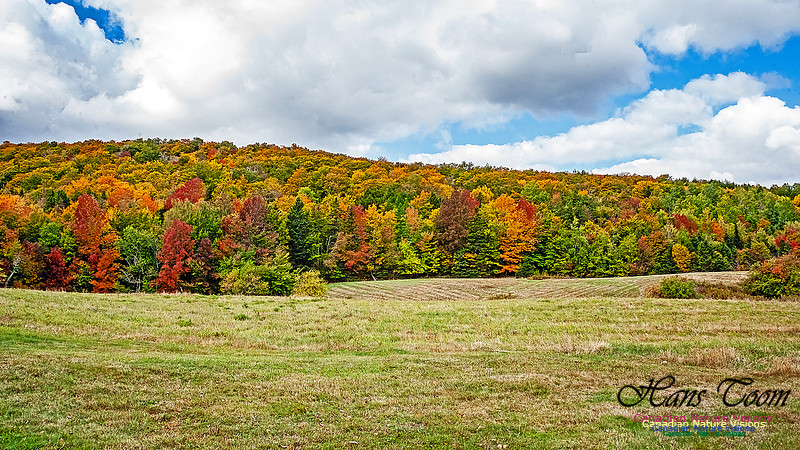 Fall in Nova Scotia 138