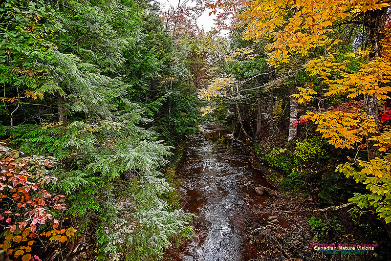 Fall in Nova Scotia 142