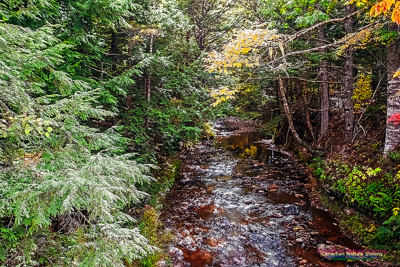 Fall in Nova Scotia 143