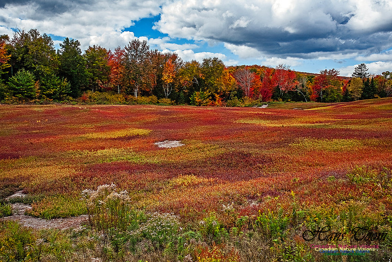 Fall in Nova Scotia 144