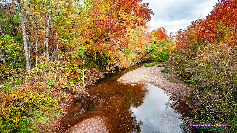 Fall in Nova Scotia 100
