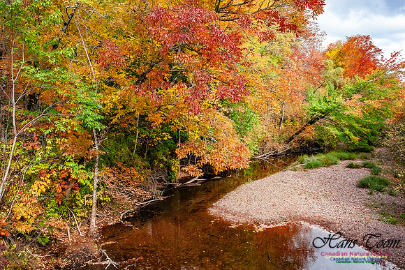 Fall in Nova Scotia 101
